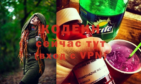 ешки Бородино