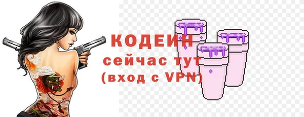 ешки Бородино