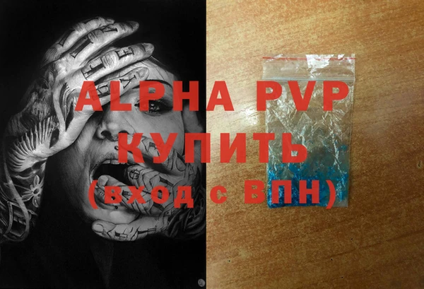 ешки Бородино