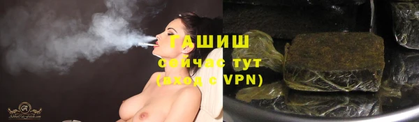 ешки Бородино