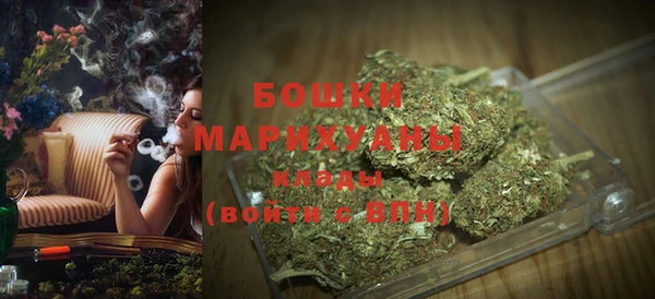 ешки Бородино