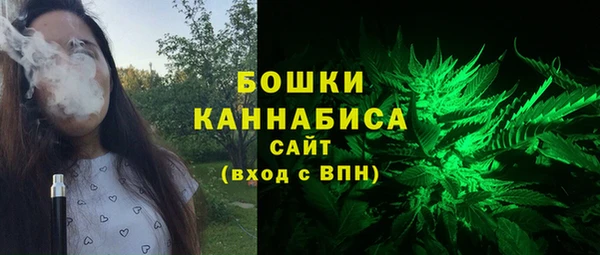 ешки Бородино