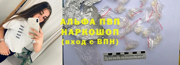 ешки Бородино