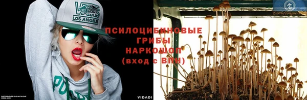 ешки Бородино